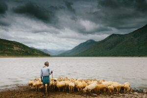 Why is Jesus called the Good Shepherd?