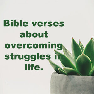 Bible verses about overcoming struggles in life