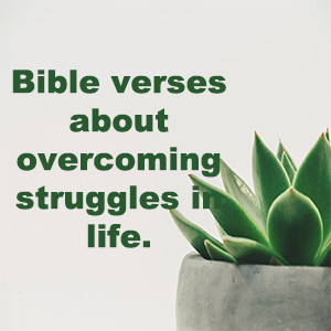 Read more about the article Bible verses about struggles in life